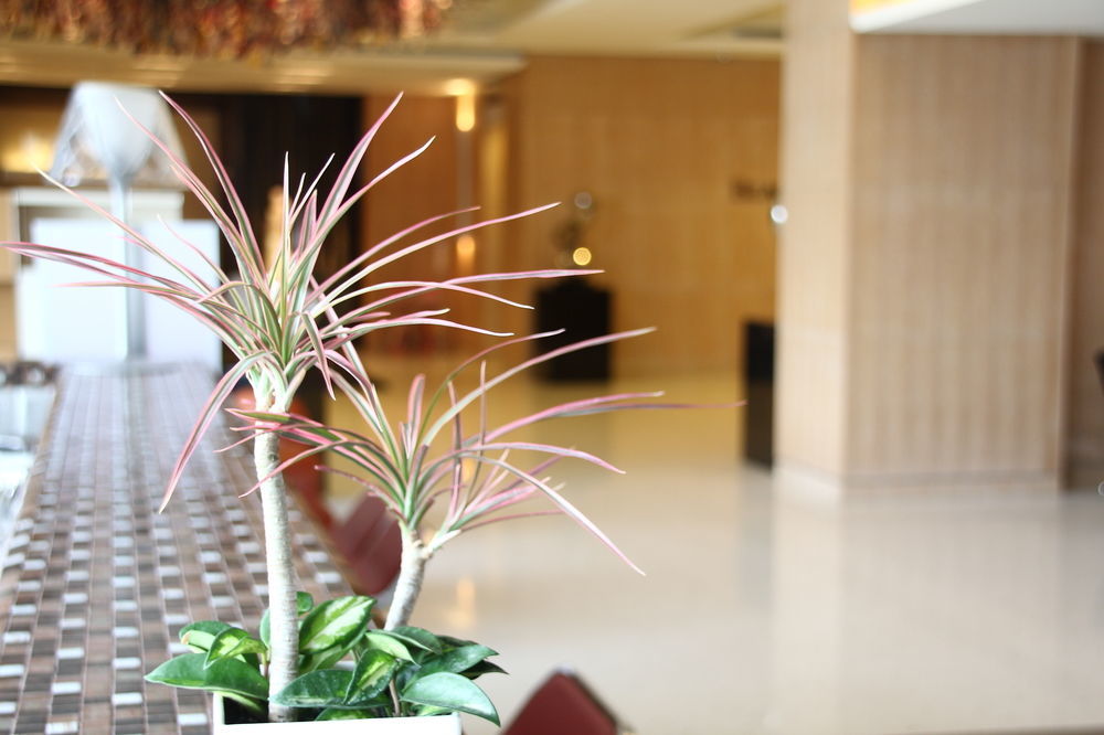 Beacon Hotel Taichung Dış mekan fotoğraf
